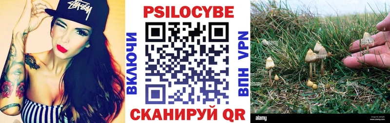 Галлюциногенные грибы Psilocybe  ОМГ ОМГ ССЫЛКА  Новосиль  где купить  