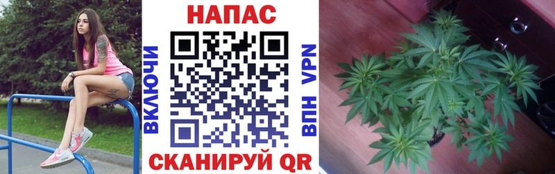 наркошоп  Новосиль  MEGA онион  Бошки Шишки индика 